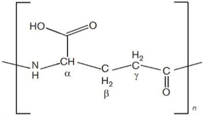 Poly (γ) glutamic acid: a unique microbial biopolymer with diverse commercial applicability